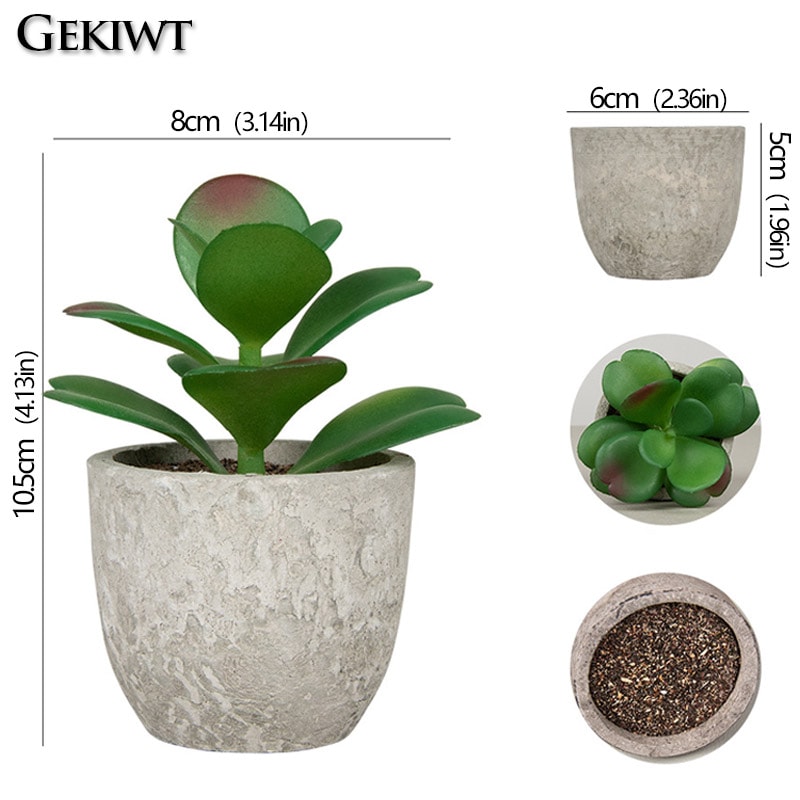 Artificial Succulent Plants, Mini Evergreen Fake Tree Pot, Small Decorative Plants for Office Table and Home Garden Deco
