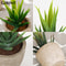 Artificial Succulent Plants, Mini Evergreen Fake Tree Pot, Small Decorative Plants for Office Table and Home Garden Deco