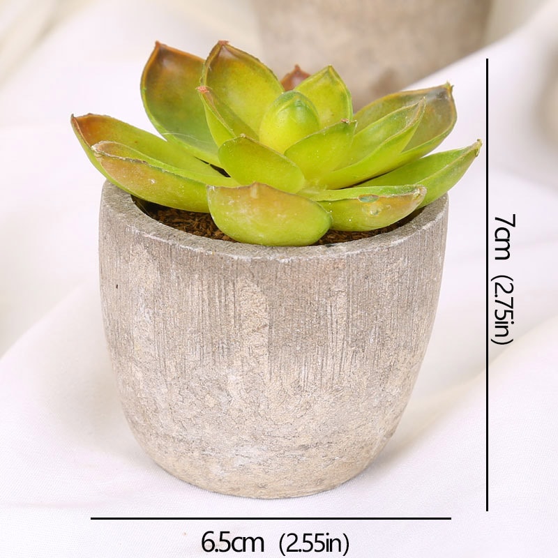 Artificial Succulent Plants, Mini Evergreen Fake Tree Pot, Small Decorative Plants for Office Table and Home Garden Deco