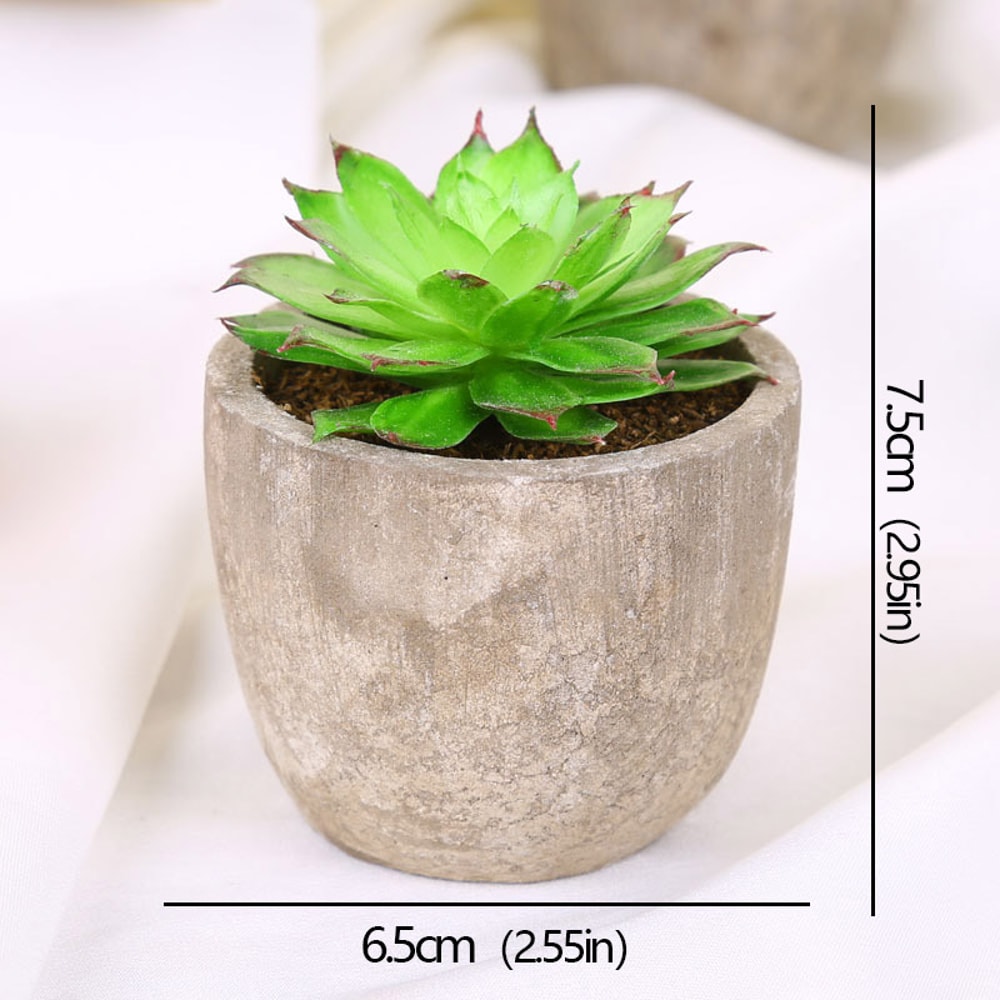 Artificial Succulent Plants, Mini Evergreen Fake Tree Pot, Small Decorative Plants for Office Table and Home Garden Deco