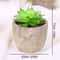 Artificial Succulent Plants, Mini Evergreen Fake Tree Pot, Small Decorative Plants for Office Table and Home Garden Deco