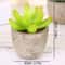 Artificial Succulent Plants, Mini Evergreen Fake Tree Pot, Small Decorative Plants for Office Table and Home Garden Deco