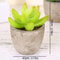 Artificial Succulent Plants, Mini Evergreen Fake Tree Pot, Small Decorative Plants for Office Table and Home Garden Deco