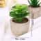 Artificial Succulent Plants, Mini Evergreen Fake Tree Pot, Small Decorative Plants for Office Table and Home Garden Deco