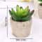 Artificial Succulent Plants, Mini Evergreen Fake Tree Pot, Small Decorative Plants for Office Table and Home Garden Deco