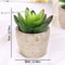 Artificial Succulent Plants, Mini Evergreen Fake Tree Pot, Small Decorative Plants for Office Table and Home Garden Deco