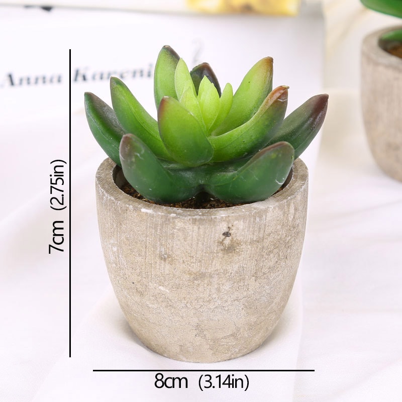 Artificial Succulent Plants, Mini Evergreen Fake Tree Pot, Small Decorative Plants for Office Table and Home Garden Deco
