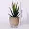 Artificial Succulent Plants, Mini Evergreen Fake Tree Pot, Small Decorative Plants for Office Table and Home Garden Deco