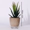 Artificial Succulent Plants, Mini Evergreen Fake Tree Pot, Small Decorative Plants for Office Table and Home Garden Deco