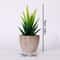 Artificial Succulent Plants, Mini Evergreen Fake Tree Pot, Small Decorative Plants for Office Table and Home Garden Deco