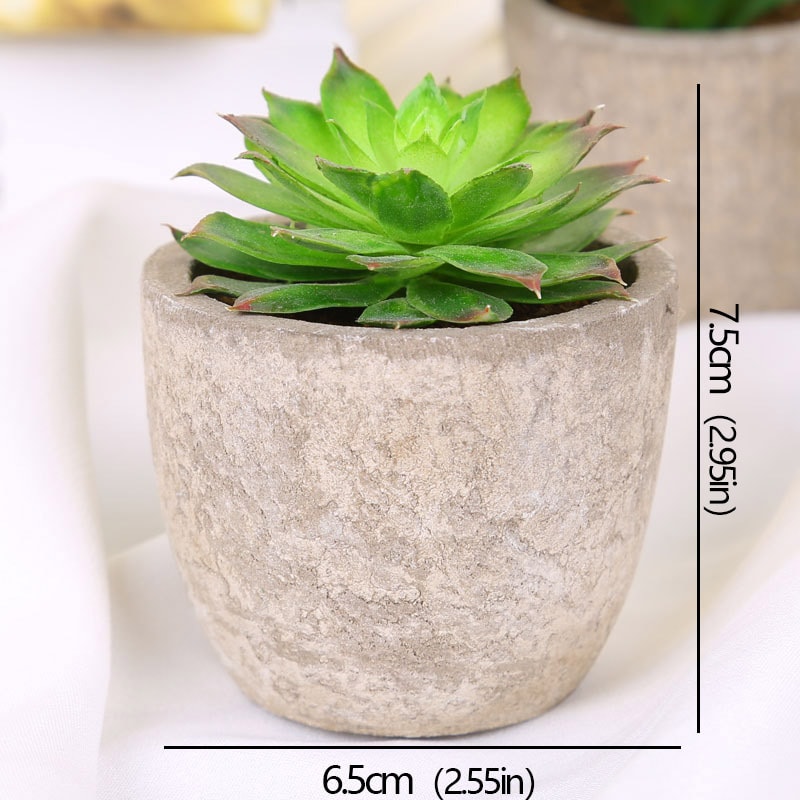 Artificial Succulent Plants, Mini Evergreen Fake Tree Pot, Small Decorative Plants for Office Table and Home Garden Deco
