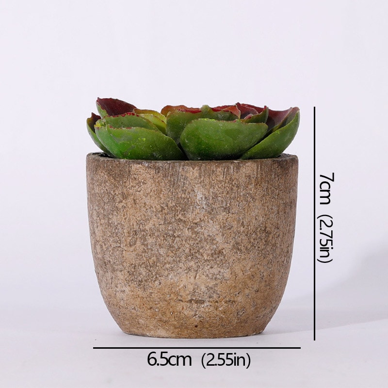 Artificial Succulent Plants, Mini Evergreen Fake Tree Pot, Small Decorative Plants for Office Table and Home Garden Deco