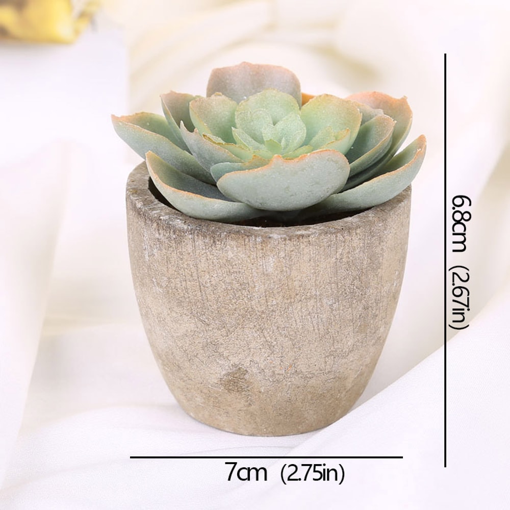 Artificial Succulent Plants, Mini Evergreen Fake Tree Pot, Small Decorative Plants for Office Table and Home Garden Deco