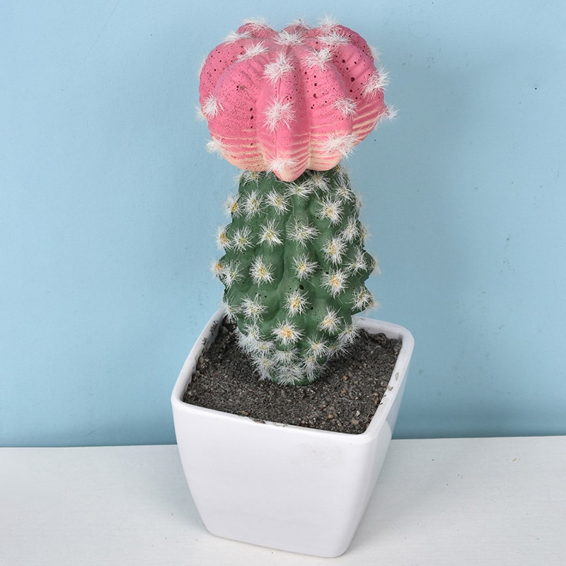 Artificial Plastic Cactus, Realistic Cute Succulent Plant, Home Decor Fake Flower