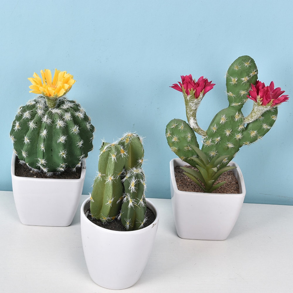 Artificial Plastic Cactus, Realistic Cute Succulent Plant, Home Decor Fake Flower