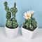 Artificial Plastic Cactus, Realistic Cute Succulent Plant, Home Decor Fake Flower