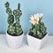 Artificial Plastic Cactus, Realistic Cute Succulent Plant, Home Decor Fake Flower