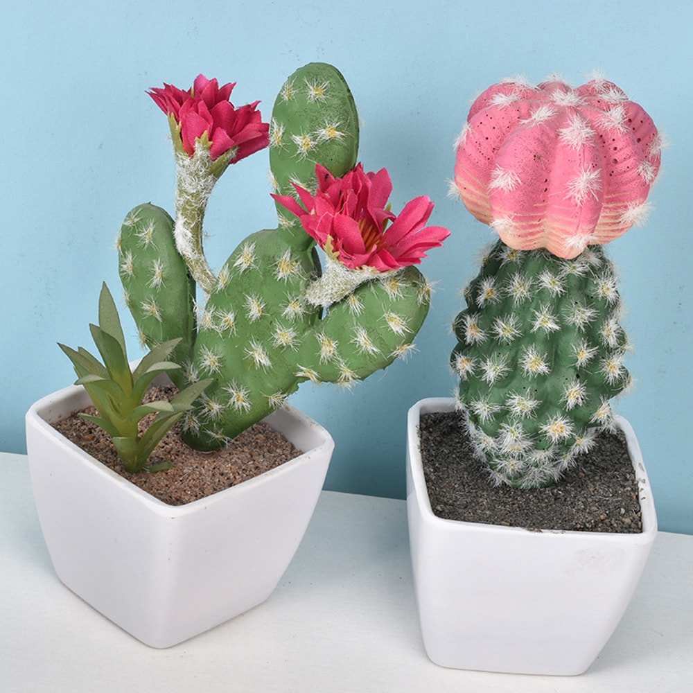 Artificial Plastic Cactus, Realistic Cute Succulent Plant, Home Decor Fake Flower