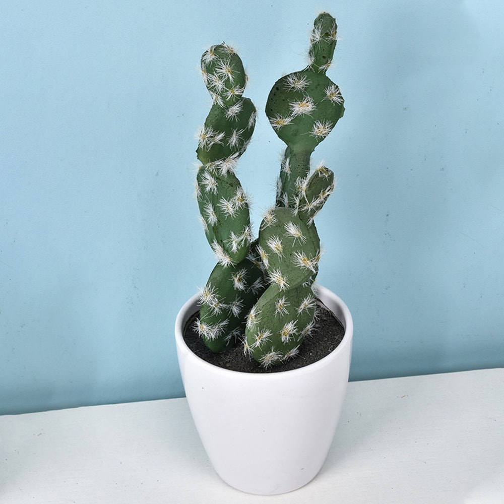 Artificial Plastic Cactus, Realistic Cute Succulent Plant, Home Decor Fake Flower