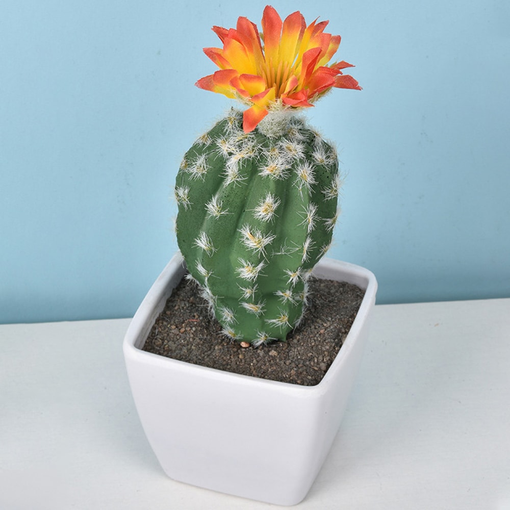 Artificial Plastic Cactus, Realistic Cute Succulent Plant, Home Decor Fake Flower