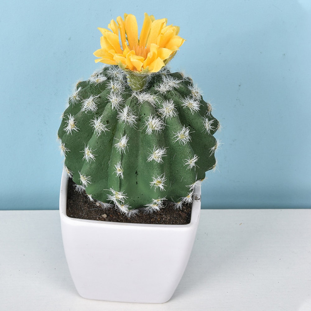 Artificial Plastic Cactus, Realistic Cute Succulent Plant, Home Decor Fake Flower