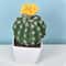 Artificial Plastic Cactus, Realistic Cute Succulent Plant, Home Decor Fake Flower