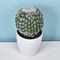 Artificial Plastic Cactus, Realistic Cute Succulent Plant, Home Decor Fake Flower