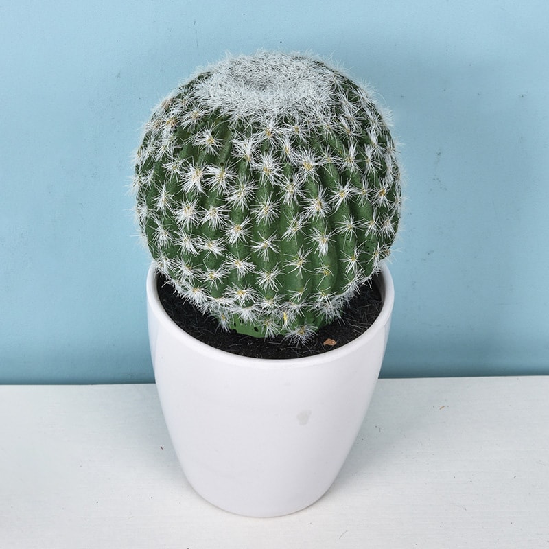 Artificial Plastic Cactus, Realistic Cute Succulent Plant, Home Decor Fake Flower