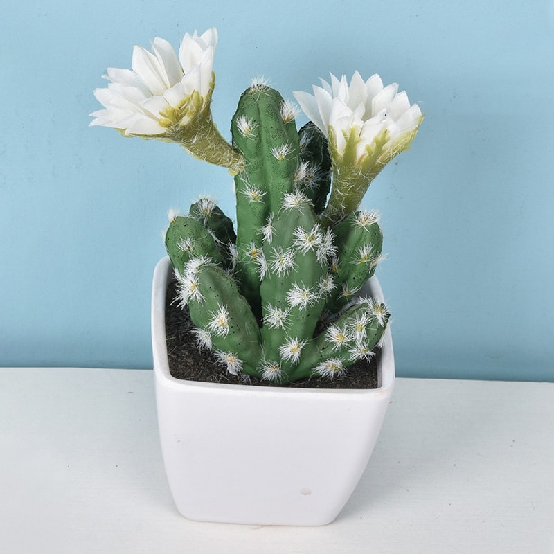 Artificial Plastic Cactus, Realistic Cute Succulent Plant, Home Decor Fake Flower
