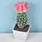 Artificial Plastic Cactus, Realistic Cute Succulent Plant, Home Decor Fake Flower