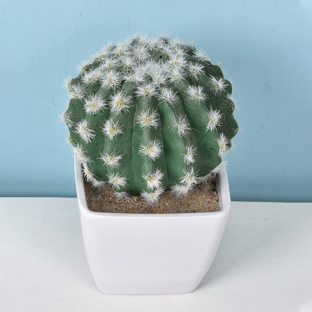 Artificial Plastic Cactus, Realistic Cute Succulent Plant, Home Decor Fake Flower