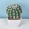 Artificial Plastic Cactus, Realistic Cute Succulent Plant, Home Decor Fake Flower