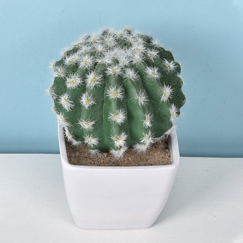 Artificial Plastic Cactus, Realistic Cute Succulent Plant, Home Decor Fake Flower