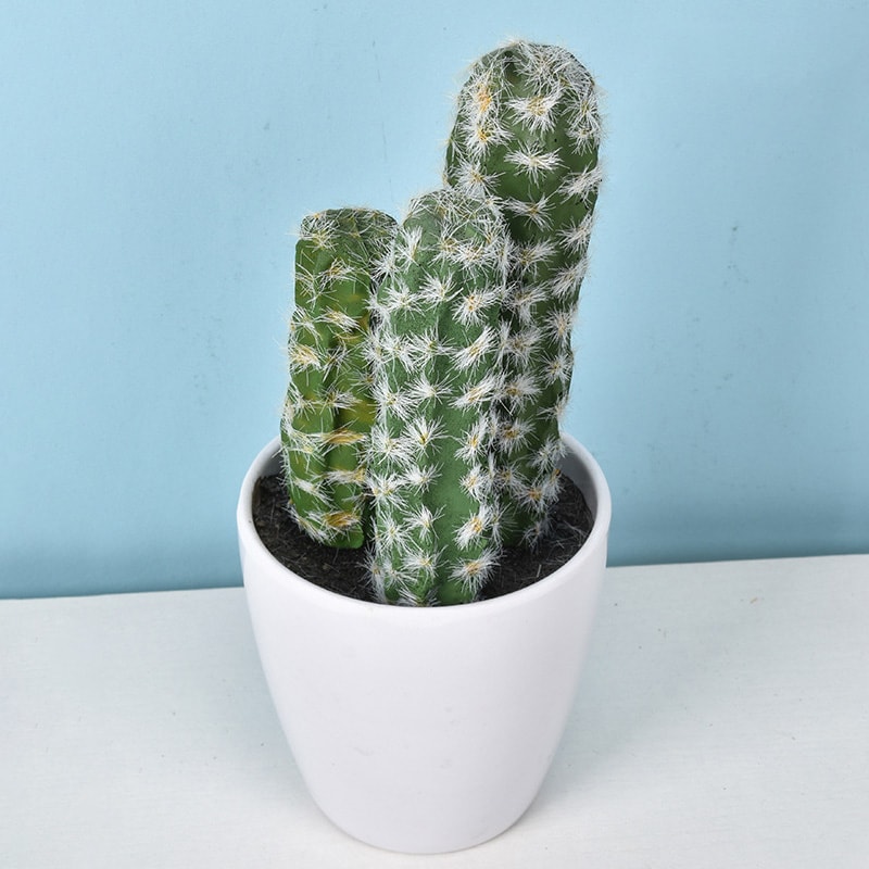 Artificial Plastic Cactus, Realistic Cute Succulent Plant, Home Decor Fake Flower