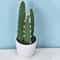 Artificial Plastic Cactus, Realistic Cute Succulent Plant, Home Decor Fake Flower