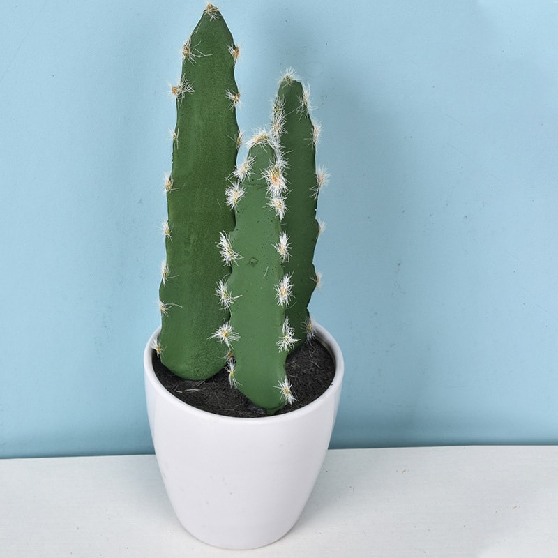 Artificial Plastic Cactus, Realistic Cute Succulent Plant, Home Decor Fake Flower