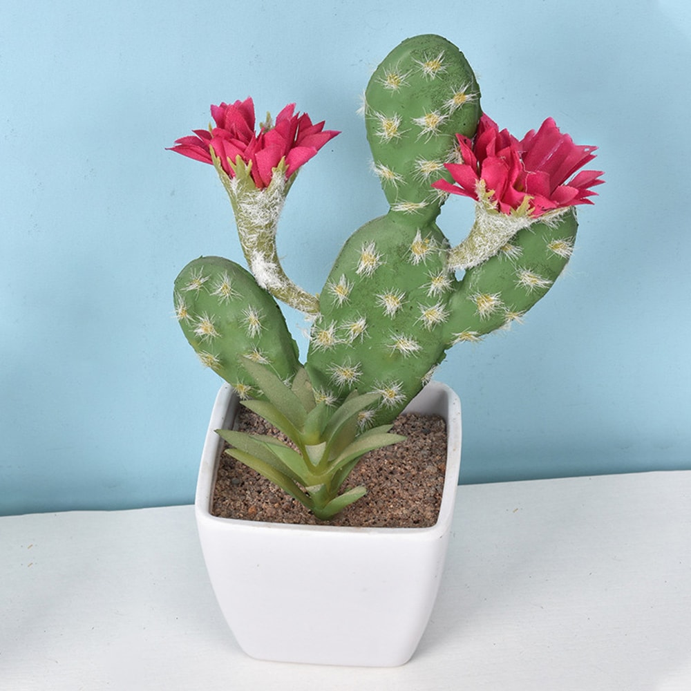 Artificial Plastic Cactus, Realistic Cute Succulent Plant, Home Decor Fake Flower