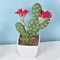 Artificial Plastic Cactus, Realistic Cute Succulent Plant, Home Decor Fake Flower