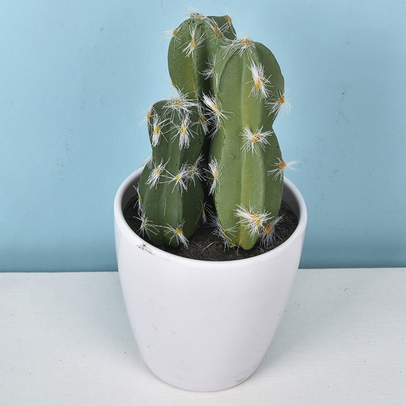 Artificial Plastic Cactus, Realistic Cute Succulent Plant, Home Decor Fake Flower