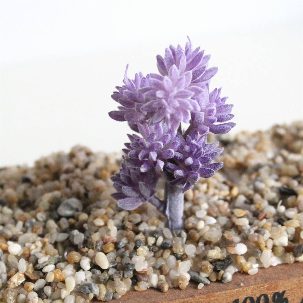 Purple Succulent Plants For Home Bedroom Living Room Bathroom Holiday Party Bonsai Decor 2