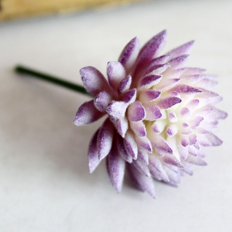 Purple Succulent Plants For Home Bedroom Living Room Bathroom Holiday Party Bonsai Decor 3