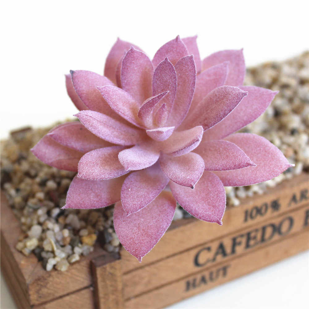 Purple Succulent Plants For Home Bedroom Living Room Bathroom Holiday Party Bonsai Decor 4