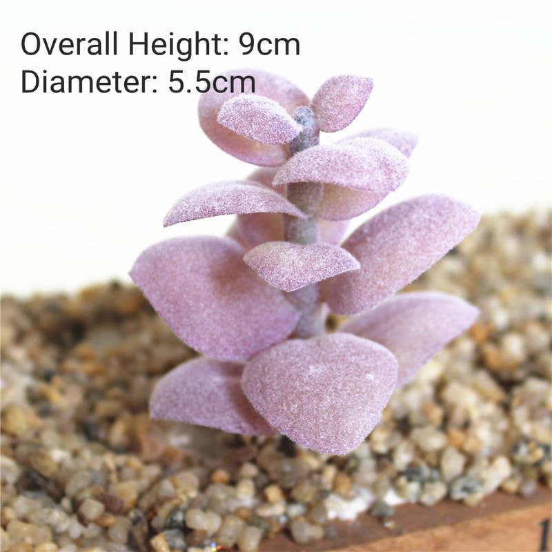 Purple Succulent Plants For Home Bedroom Living Room Bathroom Holiday Party Bonsai Decor 8