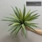 Tropical Desert Artificial Aloe and Agave Potted Plant, Faux Succulent for Living Room and Desktop