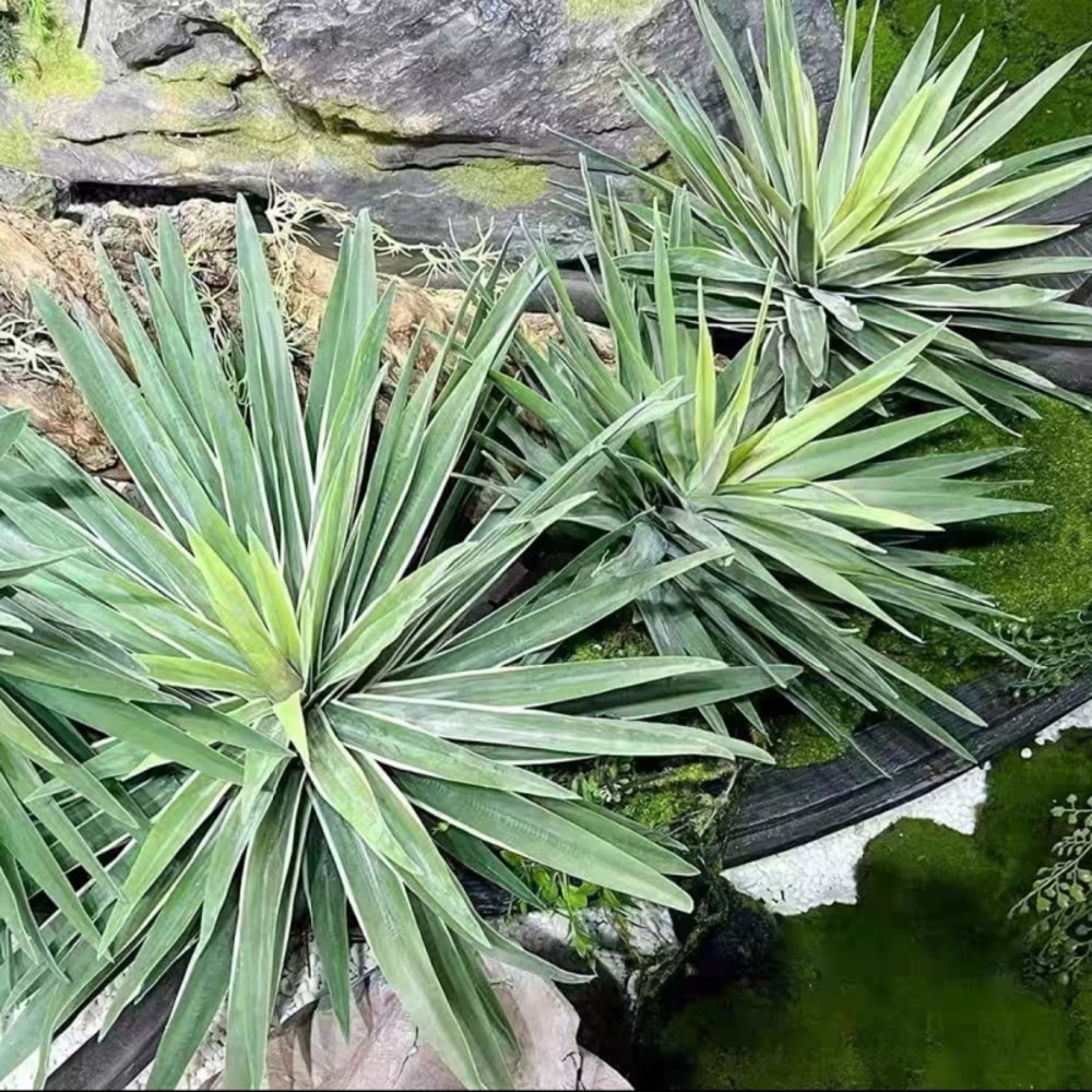 Tropical Desert Artificial Aloe and Agave Potted Plant, Faux Succulent for Living Room and Desktop