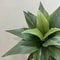 Tropical Desert Artificial Aloe and Agave Potted Plant, Faux Succulent for Living Room and Desktop