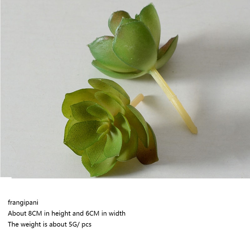 Succulents Plants Green Faux Succulent for Desktop, Home Garden, Small Bonsai Decor