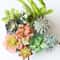 Mini Green Fake Succulent Plant Various Artificial Succulent Plants Lotus Flower Garden Arrangement 3