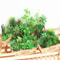 Mini Green Fake Succulent Plant Various Artificial Succulent Plants Lotus Flower Garden Arrangement 4