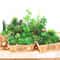 Mini Green Fake Succulent Plant Various Artificial Succulent Plants Lotus Flower Garden Arrangement 5